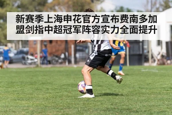 新赛季上海申花官方宣布费南多加盟剑指中超冠军阵容实力全面提升